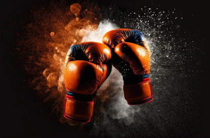 leather boxing gloves