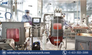 Single-Use Bioreactor Market