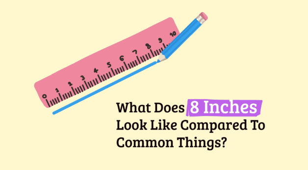 Understanding 8 Inches