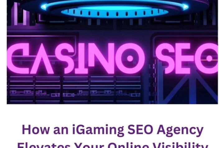 How an iGaming SEO Agency Elevates Your Online Visibility