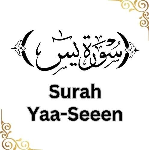 Surah Yaseen PDF